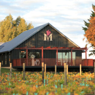 Private Vineyard Tour and Wine Tasting - Image 3