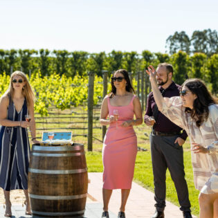 Private Vineyard Tour and Wine Tasting - Image 5