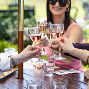 Private Vineyard Tour and Wine Tasting - Image 4