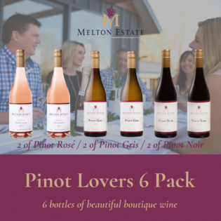 Wine 6 Packs