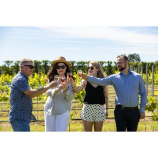 Private Vineyard Tour and Wine Tasting